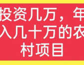 现在在农村做什么赚钱,多元化项目解析与商机洞察