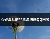 悲伤qq昵称,精选悲伤QQ昵称背后的情感故事”