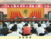 国家烟草专卖局内网,政策解读与行业动态