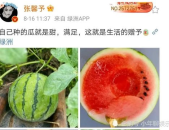 有什么娱乐圈瓜可以吃,揭秘明星幕后故事与精彩瞬间
