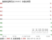 161601基金,稳健投资之道，解析其特点与优势