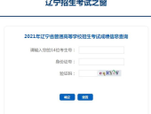 辽宁省考成绩查询,辽宁省考成绩查询结果揭晓