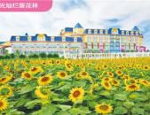 百万葵园门票团购,畅游花海，享受优惠价格”